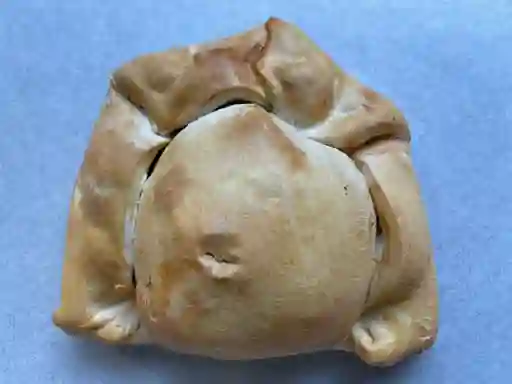 Empanada Napolitana Tomas Moro