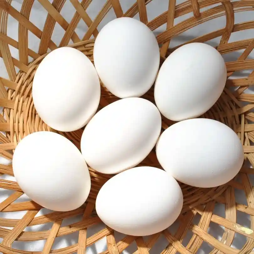 Huevos Primera Blanco