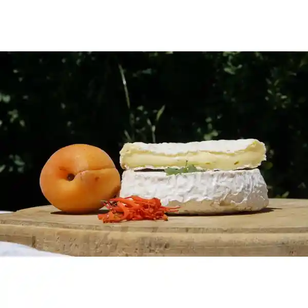 Queso Camembert - Mondion Unidad 200 Grs Aprox