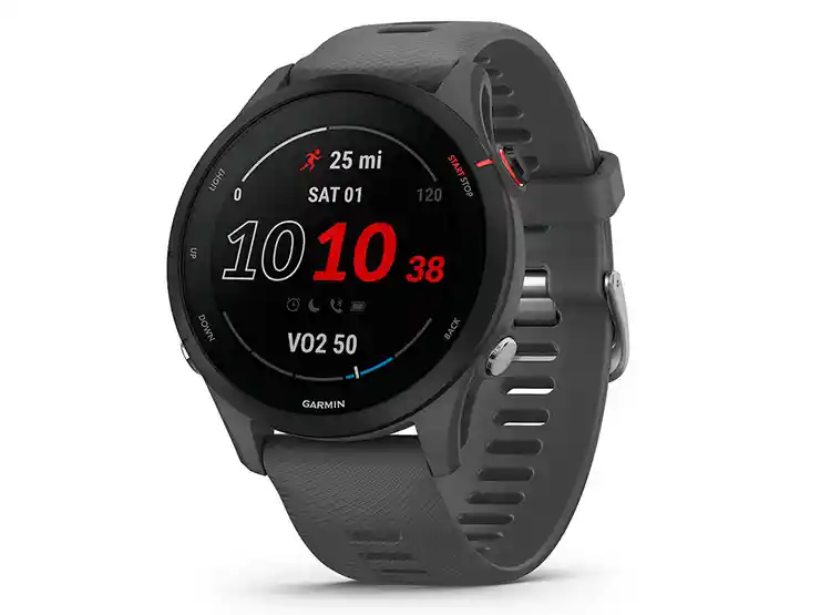 Smartwatch Garmin Forerunner 255 Gris
