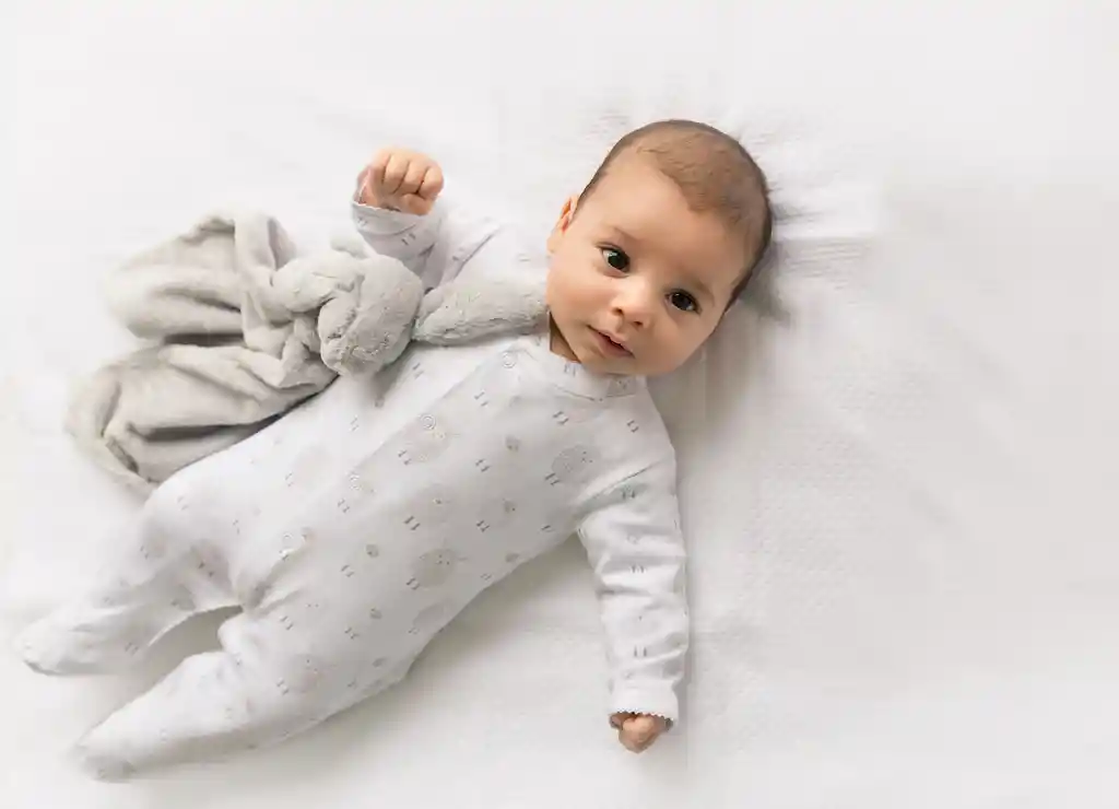 Warmi Enterito Picueta Ovejas Grises 3a6