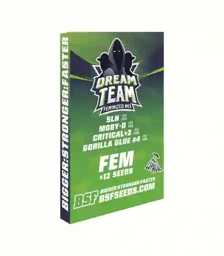 Dream Team Mix Feminizada X12 Bsf