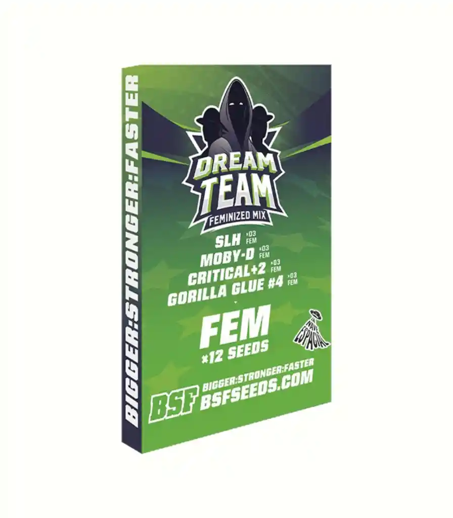 Dream Team Mix Feminizada X12 Bsf