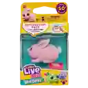 Moose Little Live Pets Needess Interactivo "pinkee Bunny"