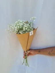 Ramo Nubecita
