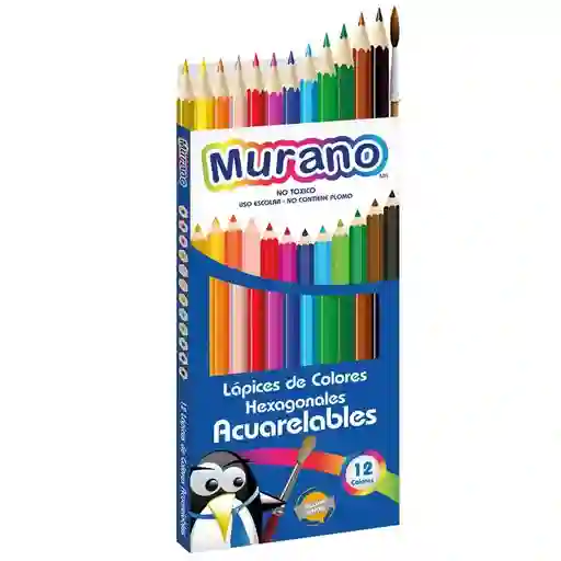 Lapices De Colores Hexagonales Acuarelables 12 Unidades