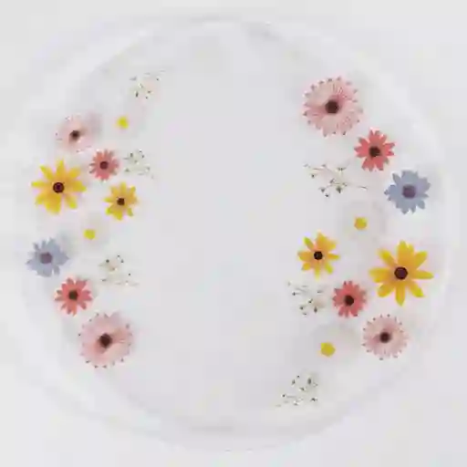 Platon Blossom Vidrio