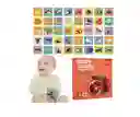 Tarjetas Educativas Estimulación Visual 12-36 Meses