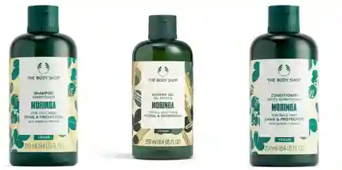 3x2 Ducha Moringa 25