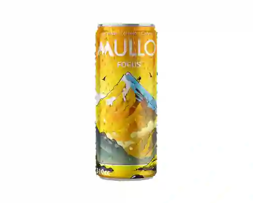 Mullo Focus