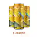 Tripack Mullo Focus