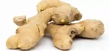 Jengibre