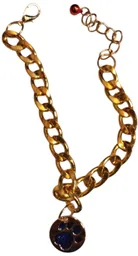 Collar Accesorios Para Mascotas Con Dije De Pata (30-37cm)