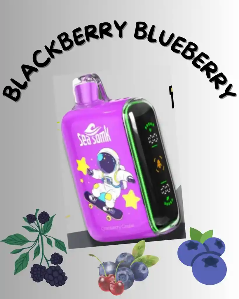 Vaper Blackberry Blueberry · 16.000 Puff’s