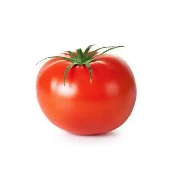 Tomate Premium Und