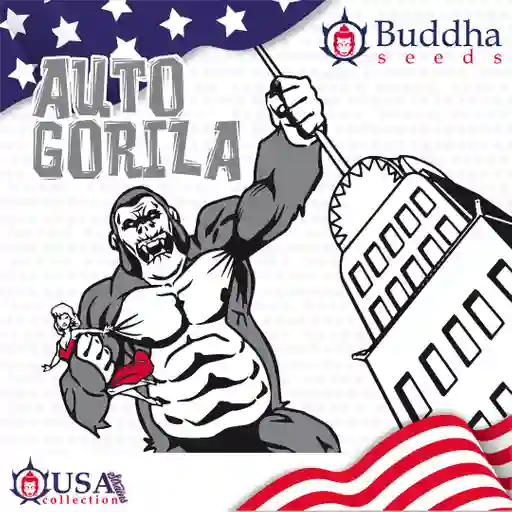 Auto Gorila (x3)