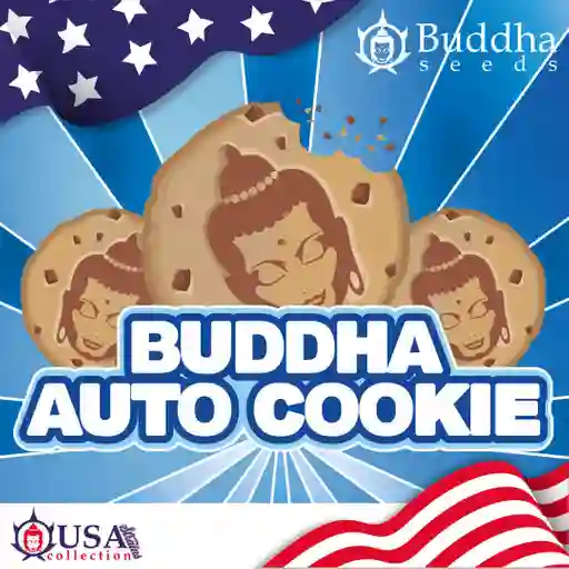 Buddha Auto Cookie (x3)