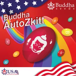 Buddha Auto Zkitt (x3)
