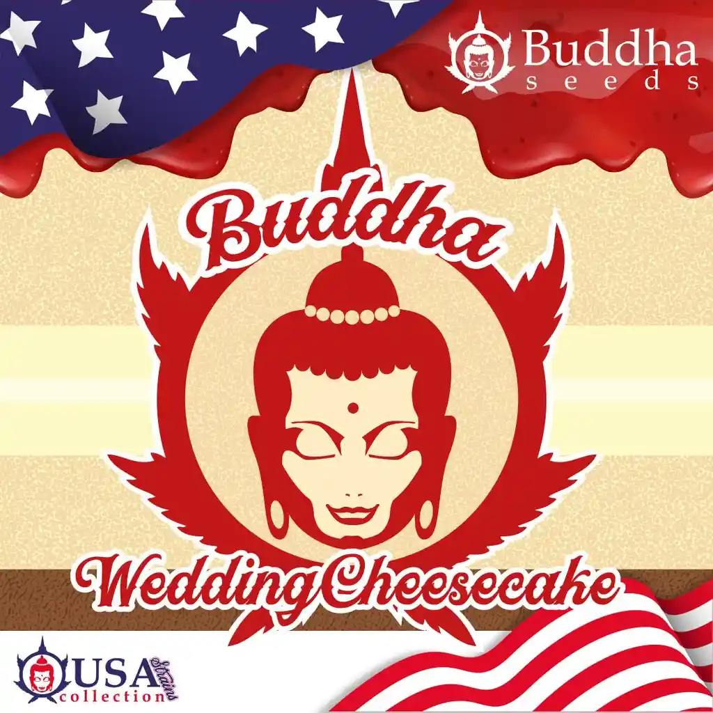 Buddha Wedding Cheesecake (x3)	