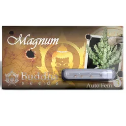 Magnum Auto (x3+1)
