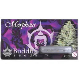 Morpheus (x3)