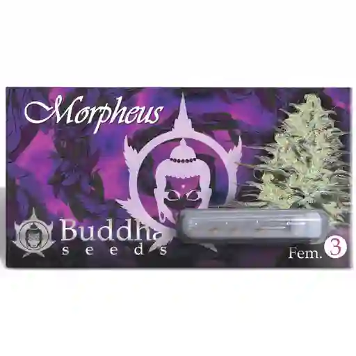 Morpheus (x3)