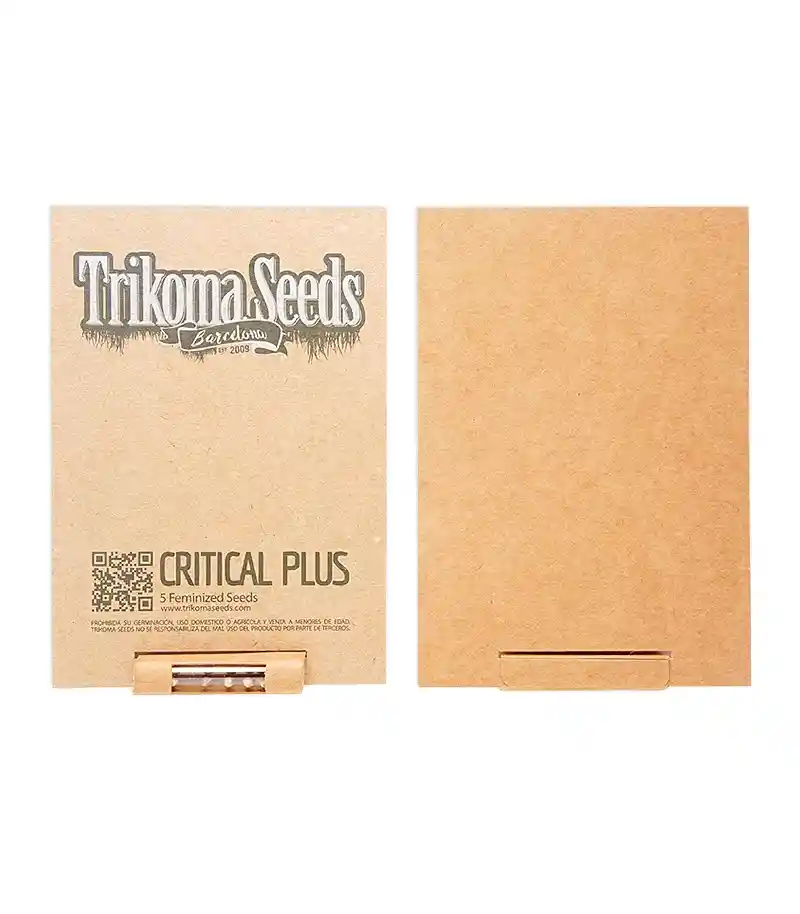 Critical Plus