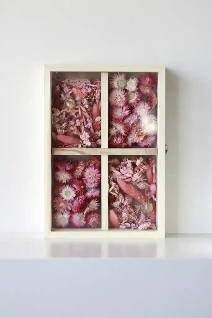 Marco Flores Secas Rosado (l)