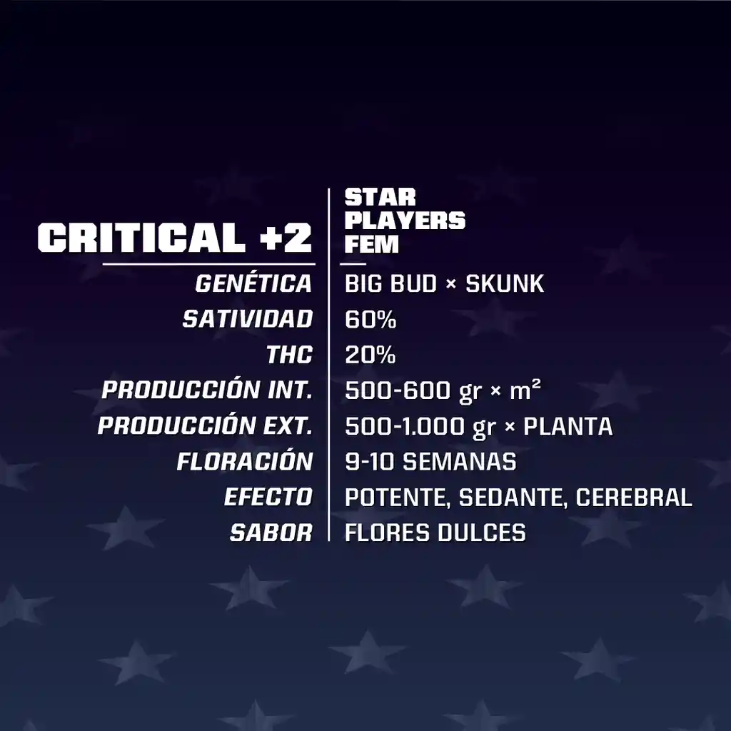 Critical + (x2)
