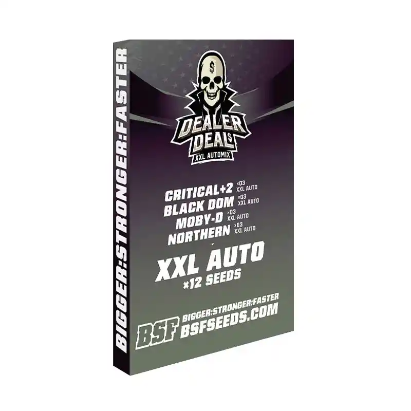 Dealer Deal Xxl Automix (x12)