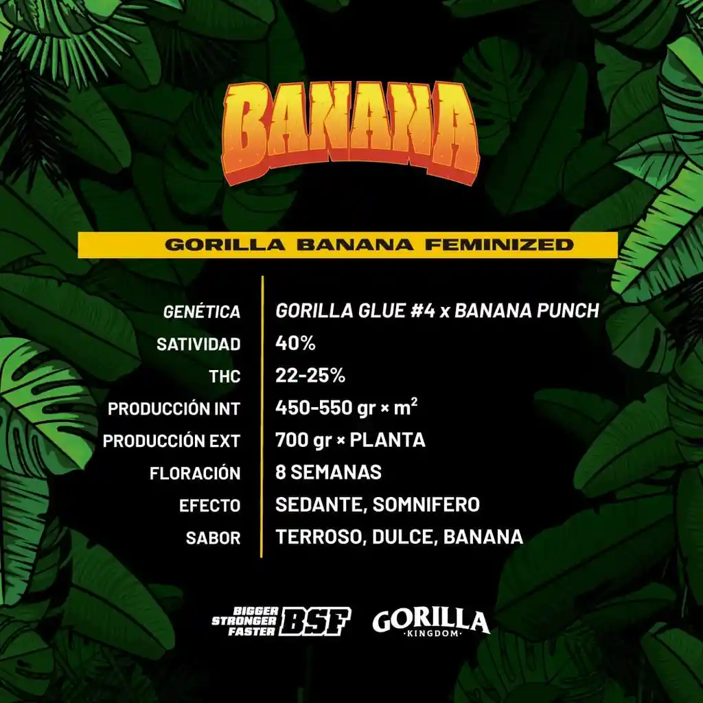 Gorilla Banana (x2)