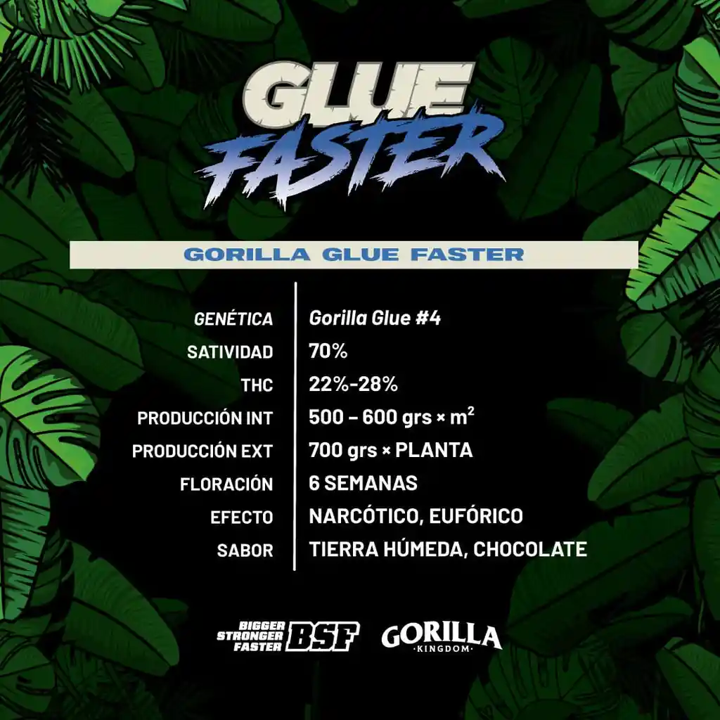 Gorilla Glue Faster (x2)