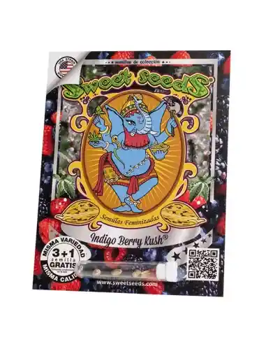 Indigo Berry Kush (3+1)