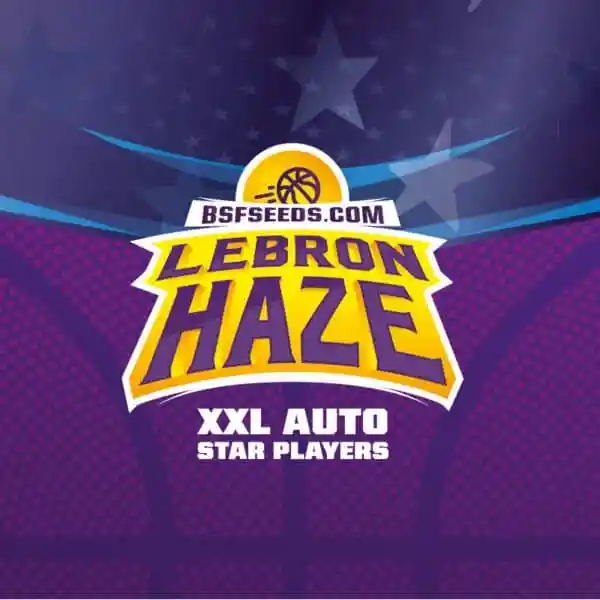 Lebron Haze Xxl Auto (x2)