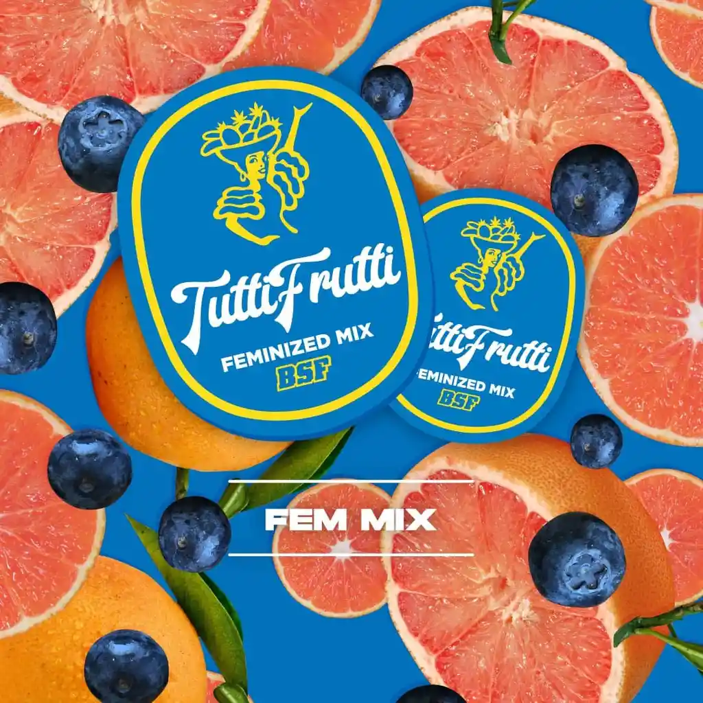Tutti Frutti Feminized Mix (x12)