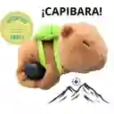 ¡capibara Turbo – El Peluche Con Cola Giratoria Que Arrasa En Redes! Regalos Chic