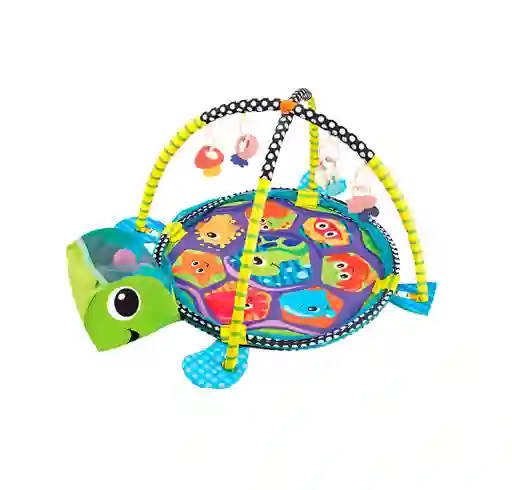 Gimnasio Y Piscina De Pelotas Multicolor