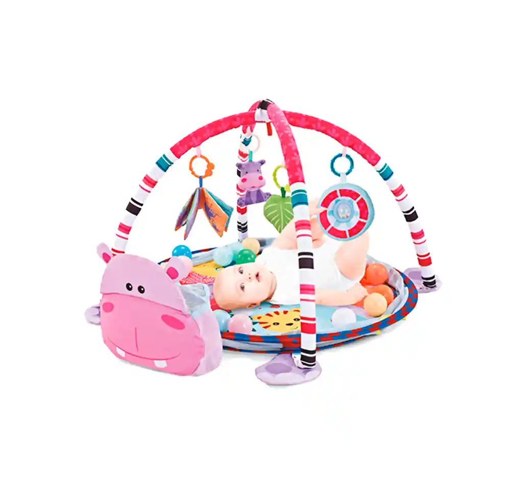 Gimnasio Y Piscina De Pelotas Hipopótamo