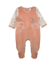 Enterito De Plush Conejitos