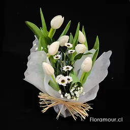 Nipón – Saquito De Tulipanes