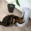 Brnx Comedero Alimentador Desingn Dispensador De Alimento Para Mascota