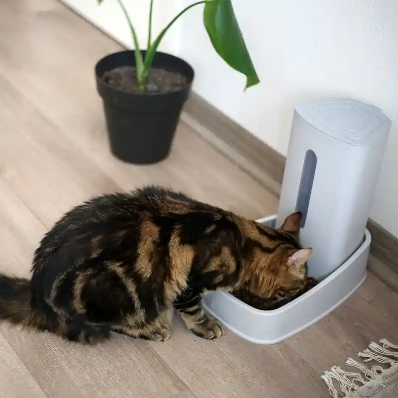 Brnx Comedero Alimentador Desingn Dispensador De Alimento Para Mascota