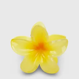 Accesorio De Pelo Tiburón Otros Inx Flori Oi25 Multi 10.