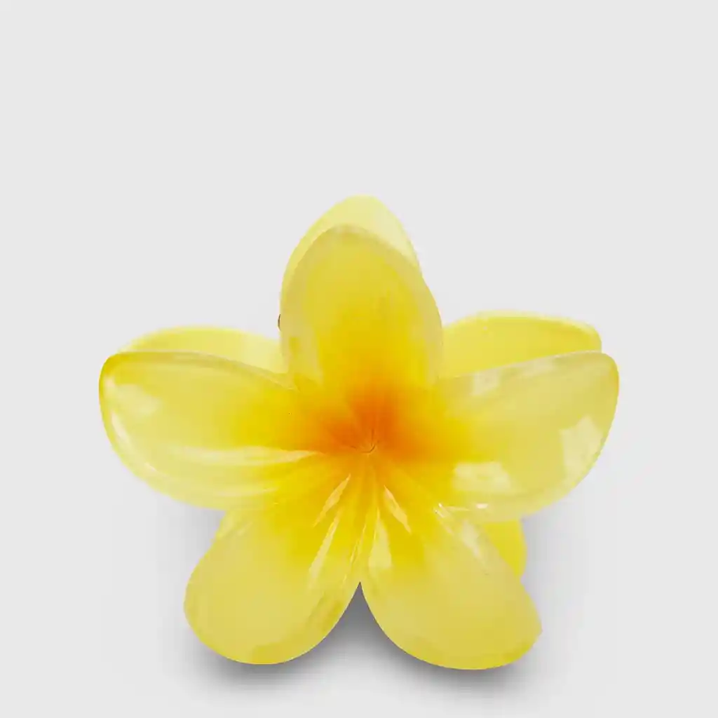 Accesorio De Pelo Tiburón Flor Index