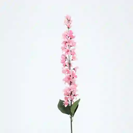Granel Lilac Rosa 120cm