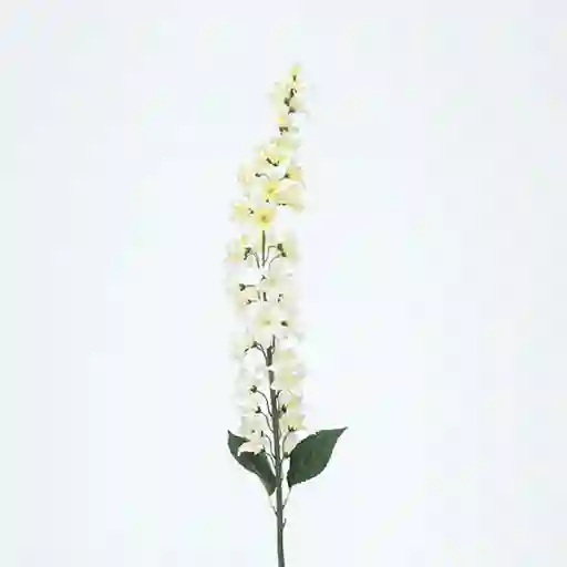 Granel Lilac Blanca 120cm