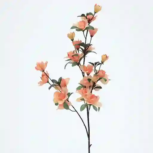 Granel Azalea Durazno 79cm