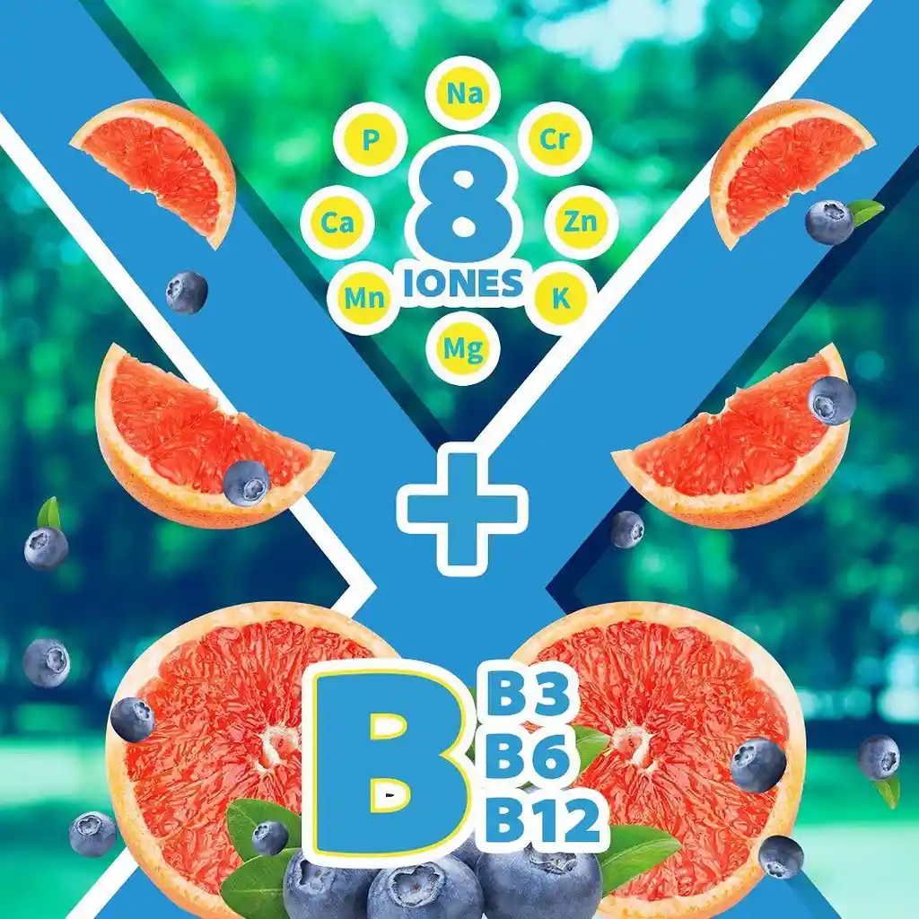 Ionex Bebida Hidratante Blueberries - Pomelo - Pack 6 Uds 1 Litro