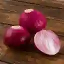 Cebolla Morada