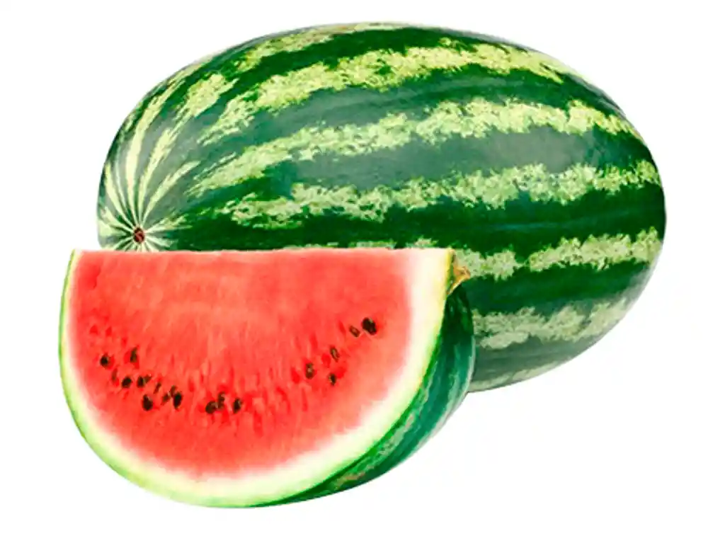 Sandia Chilena